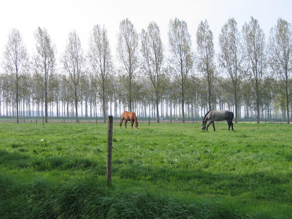 Jardin de Lieze Villa Maldegem Exterior foto